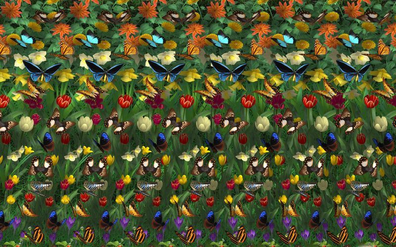 Картинка Стереокартинка бабочки и цветы из коллекции Обои для рабочего стола Стереокартинки