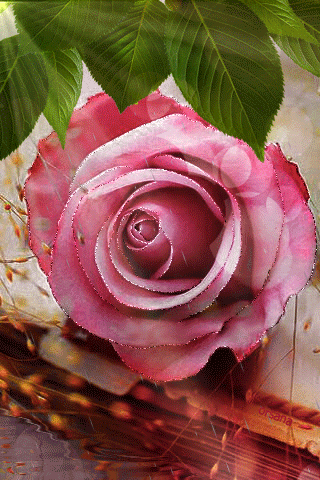 Картинка Гиф открытка Роза из коллекции Картинки анимация Цветы