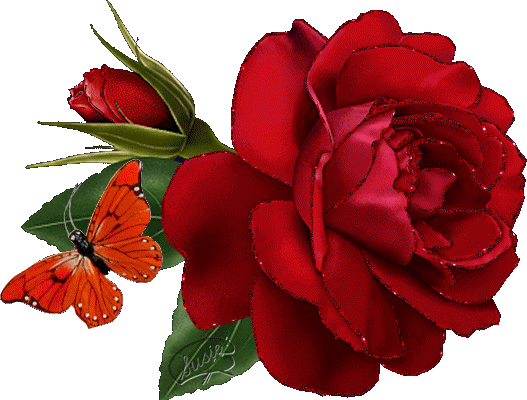 Картинка Красная роза и бабочка из коллекции Картинки анимация Цветы