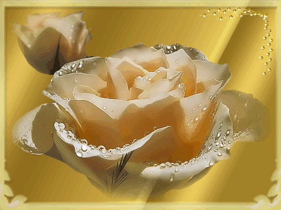 Картинка Роза в блестках из коллекции Картинки анимация Цветы