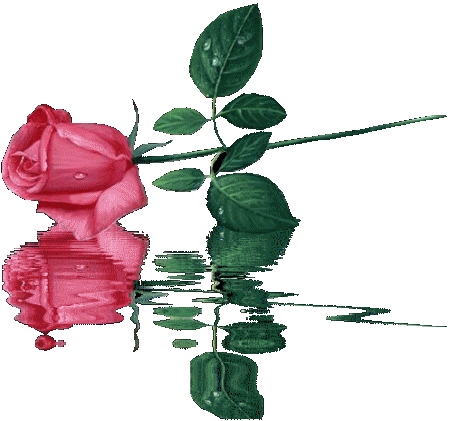 Картинка Шикарная Роза из коллекции Картинки анимация Цветы