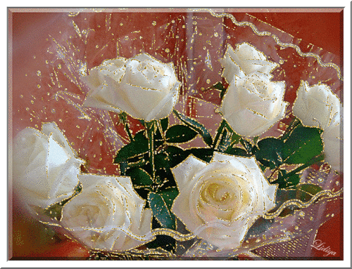 Картинка Белые розы красивые из коллекции Картинки анимация Цветы