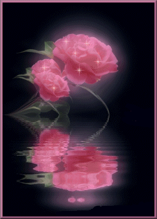 Картинка Роза из коллекции Картинки анимация Цветы