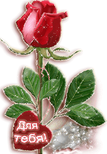 Картинка Роза для тебя из коллекции Картинки анимация Цветы