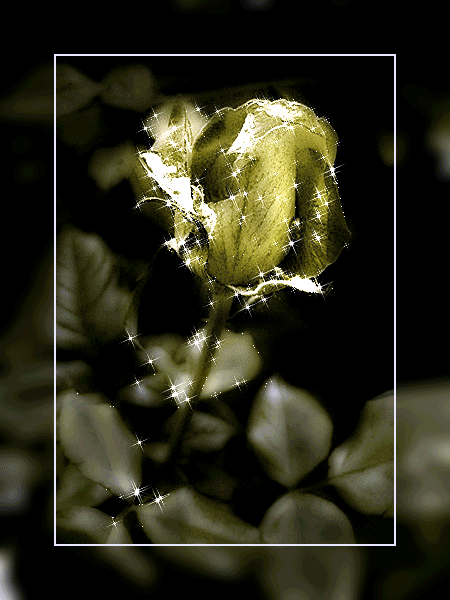 Картинка Желтая роза из коллекции Картинки анимация Цветы