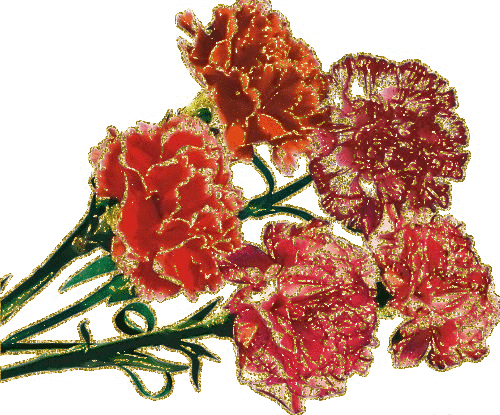 Картинка Красные гвоздики из коллекции Картинки анимация Цветы