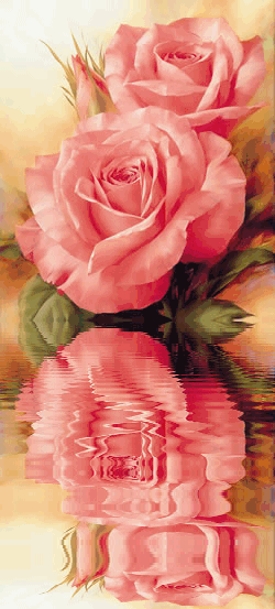 Картинка Две розы из коллекции Картинки анимация Цветы