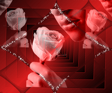 Картинка «Роза» из коллекции Картинки анимация Цветы
