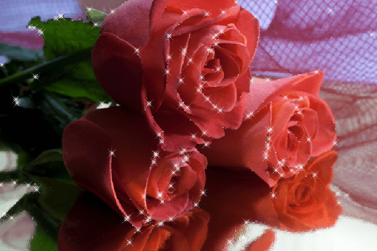 Картинка Розы мерцающие из коллекции Картинки анимация Цветы