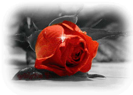 Картинка Роза из коллекции Картинки анимация Цветы