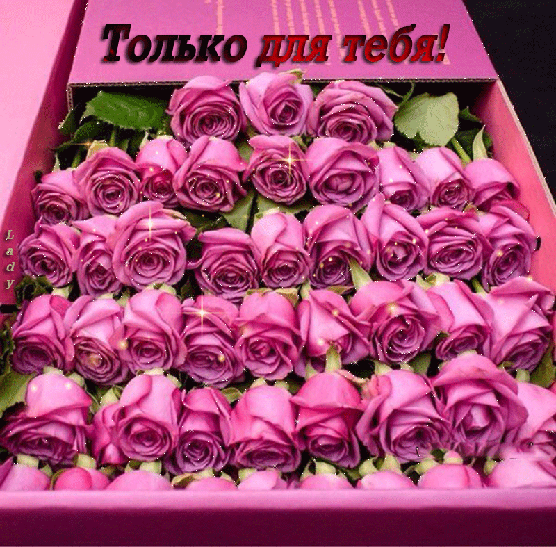 Розы только для тебя