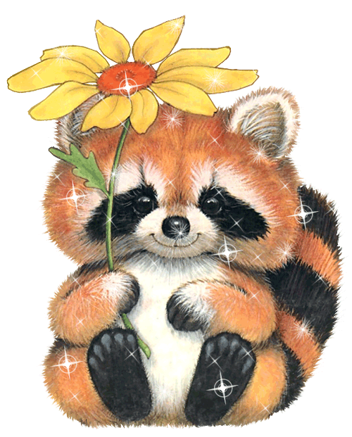 Картинка Енот с цветком из коллекции Картинки анимация Животные