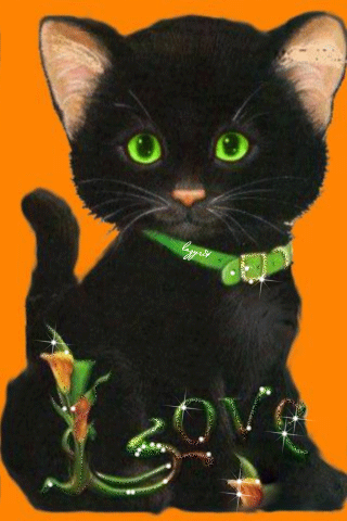 Картинка Чёрный котик из коллекции Картинки анимация Животные