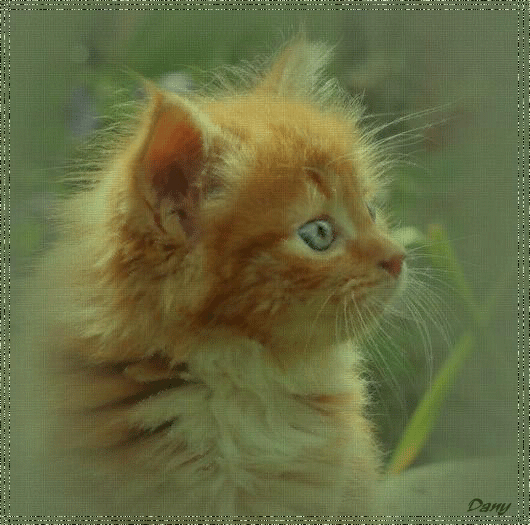 Картинка Рыжий котенок из коллекции Картинки анимация Животные