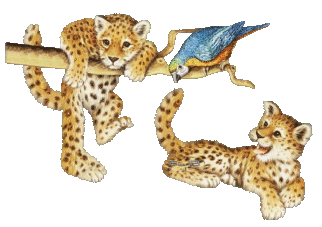 Картинка Милые зверята из коллекции Картинки анимация Животные
