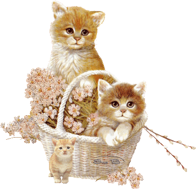 Картинка Котята в корзинке из коллекции Картинки анимация Животные