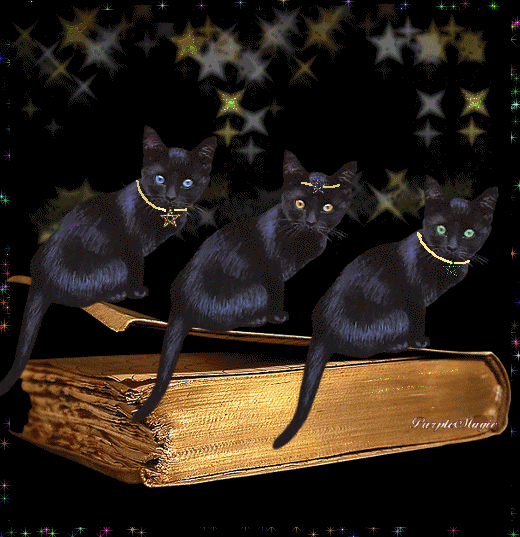 Картинка Черные кошки из коллекции Картинки анимация Животные