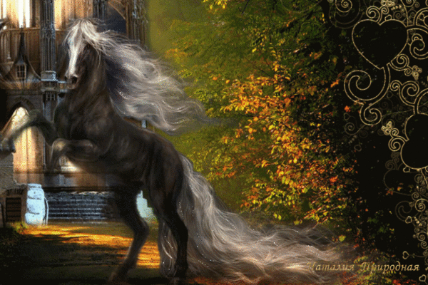Картинка Лошадь из коллекции Картинки анимация Животные