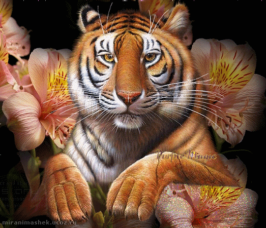 Картинка Тигр нарисованный из коллекции Картинки анимация Животные