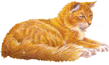 Картинка Рыжий кот из коллекции Картинки анимация Животные