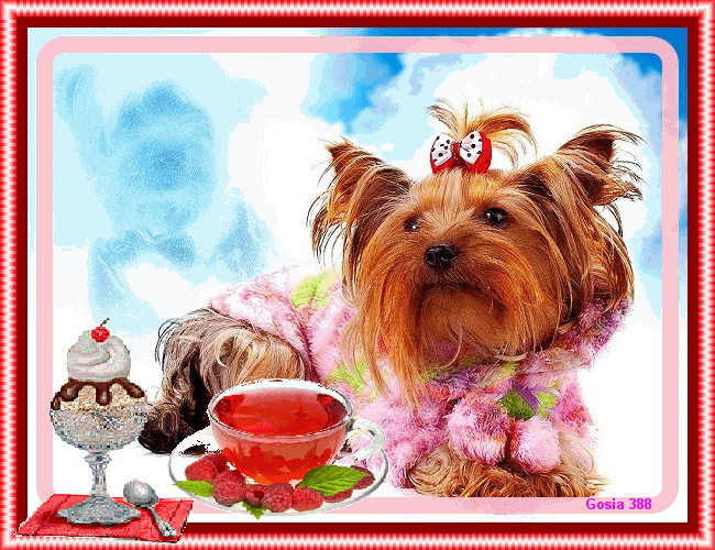 Картинка Собачка с чаем анимашка из коллекции Картинки анимация Животные