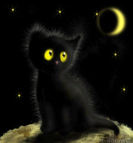 Картинка Черный котёнок из коллекции Картинки анимация Животные