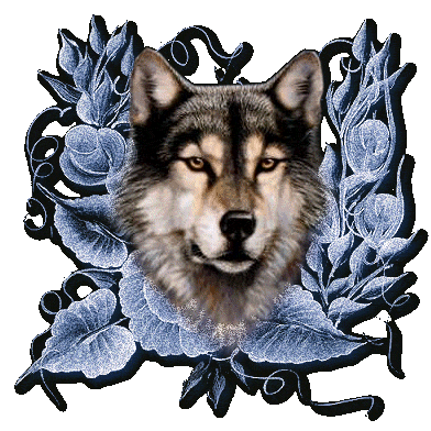 Картинка Волк из коллекции Картинки анимация Животные