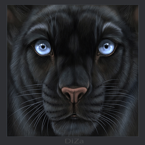 Картинка Пантера из коллекции Картинки анимация Животные