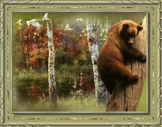 Картинка Медведь из коллекции Картинки анимация Животные