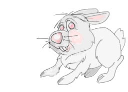 Картинка Белый заяц из коллекции Картинки анимация Животные