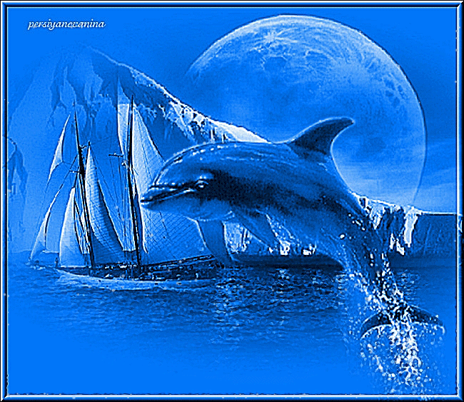 Картинка Дельфин из коллекции Картинки анимация Животные