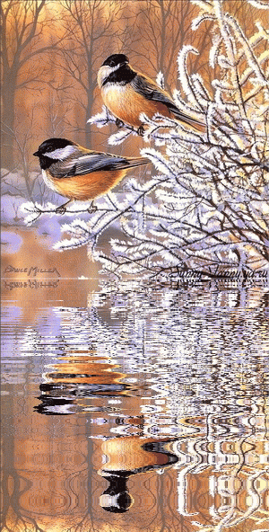 Картинка Синицы зимой из коллекции Картинки анимация Птицы
