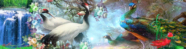Картинка Райские птицы из коллекции Картинки анимация Птицы