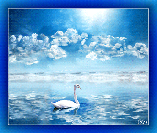 Картинка Одинокий лебедь из коллекции Картинки анимация Птицы