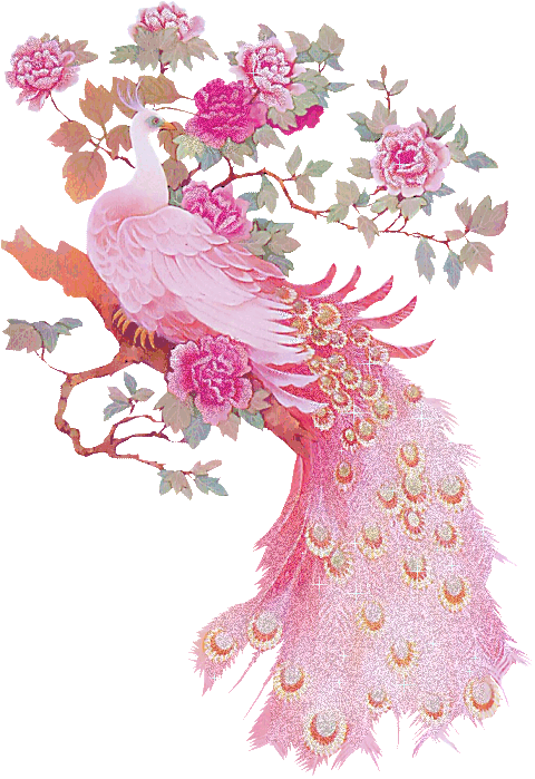 Картинка Розовый павлин из коллекции Картинки анимация Птицы