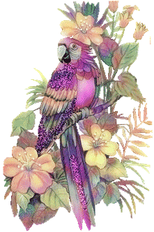 Картинка Сиреневый попугай из коллекции Картинки анимация Птицы