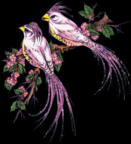 Картинка Птички из коллекции Картинки анимация Птицы