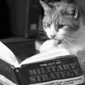 Кот листает книгу