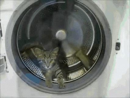 Картинка Котёнок в стиральной машине из коллекции Картинки анимация Юмор и гиф приколы
