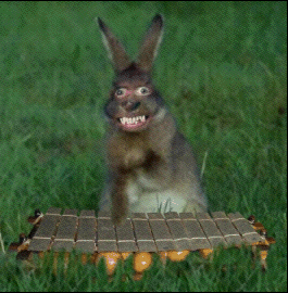 Кролик музыкант