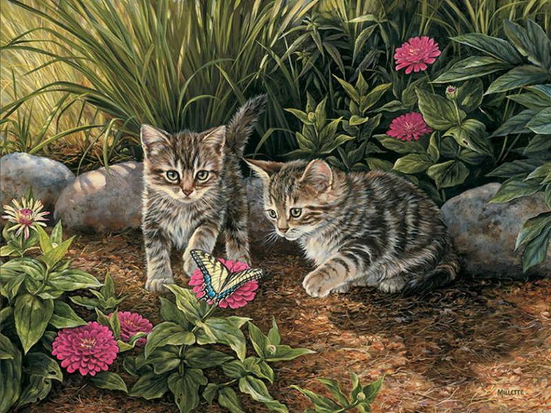 Картинка Котята из коллекции Обои для рабочего стола Животный мир