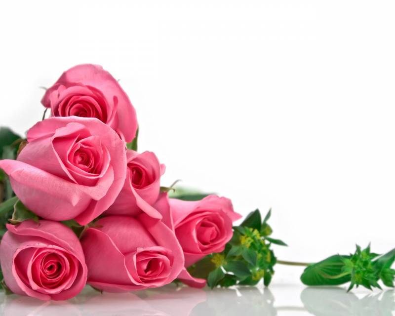 Картинка Розовые розы из коллекции Обои для рабочего стола Цветы