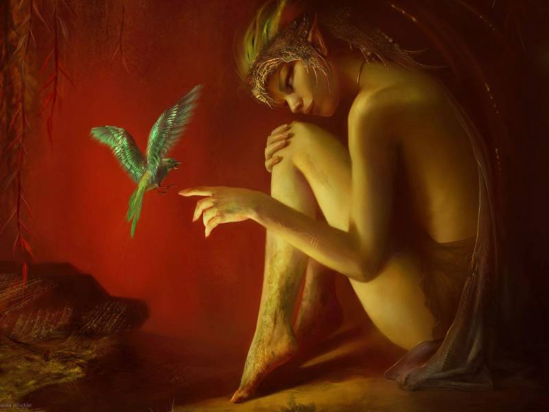 Картинка Девочка с райской птичкой из коллекции Обои для рабочего стола Фэнтези