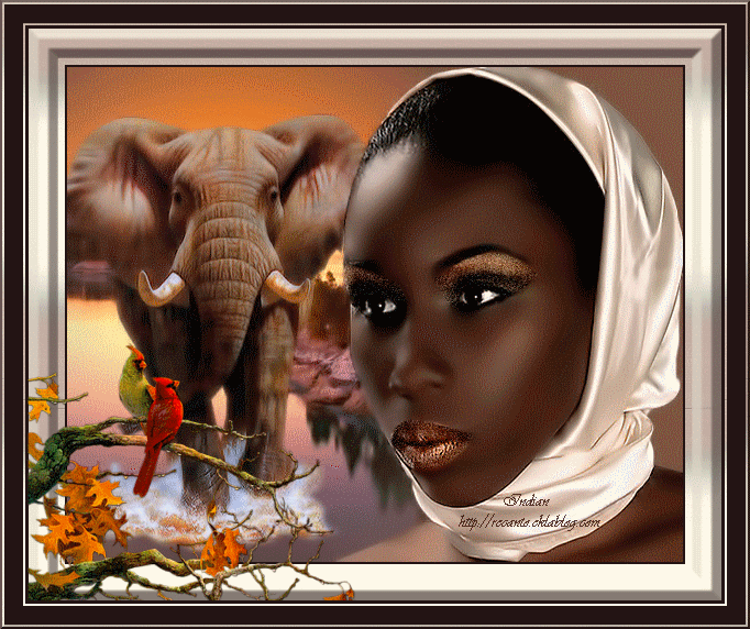Картинка Африка из коллекции Картинки анимация Анимационные GIF