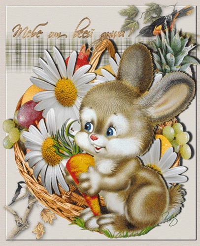 Картинка Открытка с кроликом из коллекции Картинки анимация Анимационные GIF