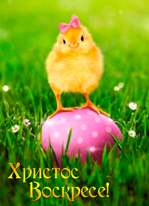 Картинка Пасхальная картинка с цыпленком и яйцом из коллекции Открытки поздравления Пасха