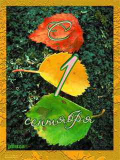 Картинка Анимированная открытка С 1 сентября из коллекции Открытки поздравления 1 сентября день Знаний