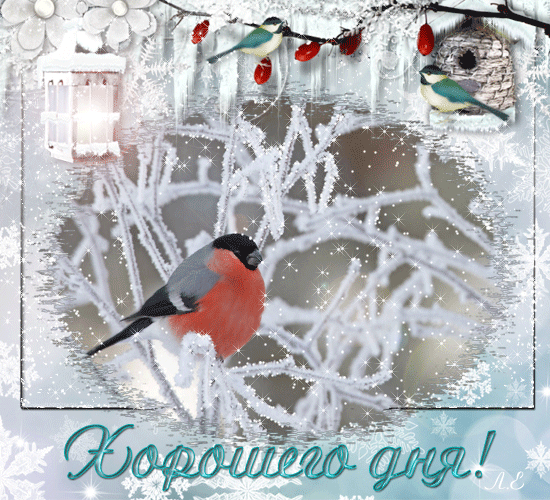 Картинка Хорошего зимнего дня! из коллекции Картинки с надписями Добрый день