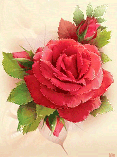 Картинка Блестящая роза на телефон из коллекции Анимация на телефон Розы