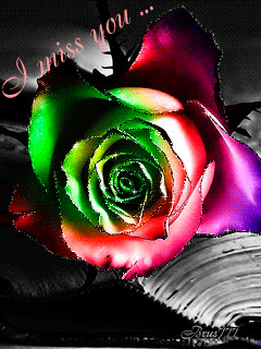 Картинка Разноцветная роза из коллекции Анимация на телефон Розы